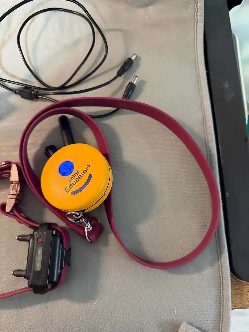 E-Collar Technologies Mini Educator color maroon